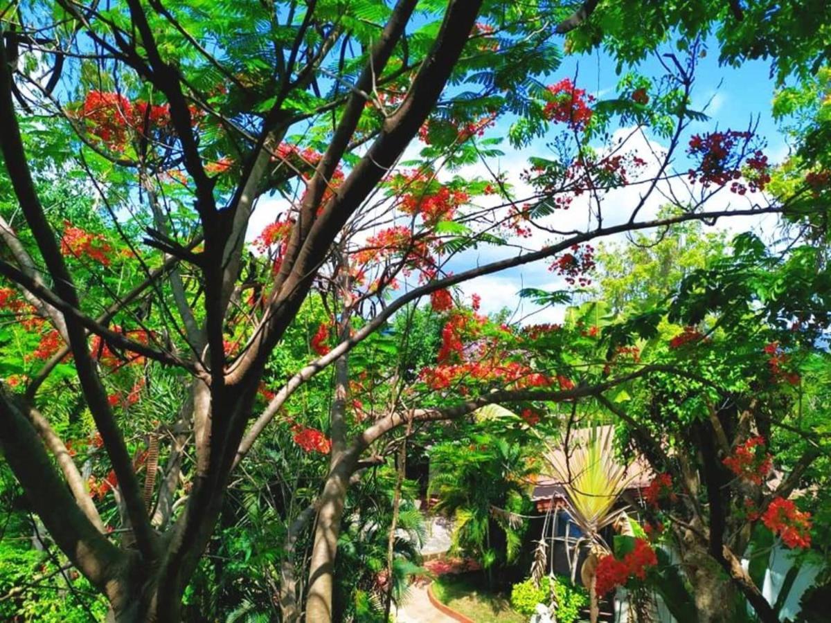 Denchai City Resort เด่นชัยซิตี้ รีสอร์ท Phrae Exterior photo